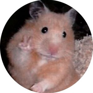 profile-image